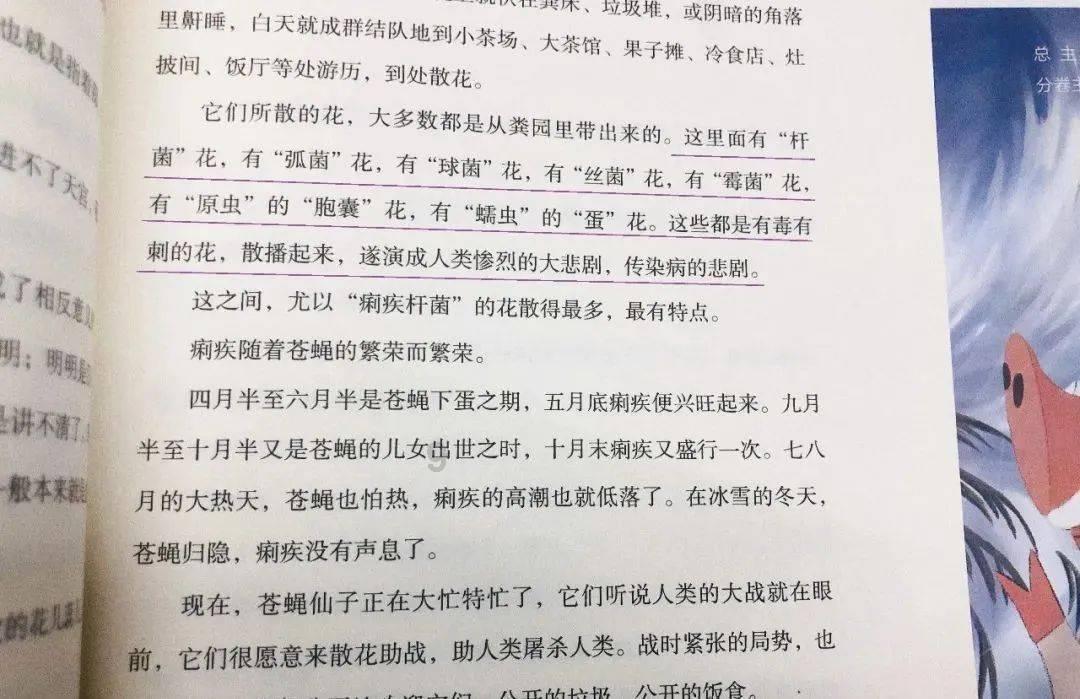 寻找遗失的玩具车